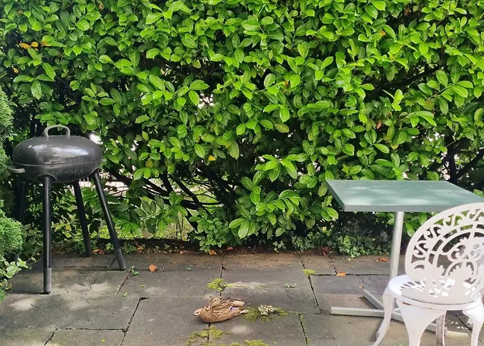 Homestay szállás Yveskinyoga *